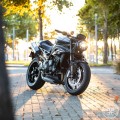 Motodemic Single LED and Round Halogen Headlight Conversion Kit for the 2018+ Triumph Speed Triple